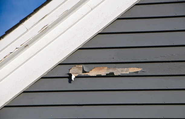 Best Residential Junk Removal  in Beloit, WI